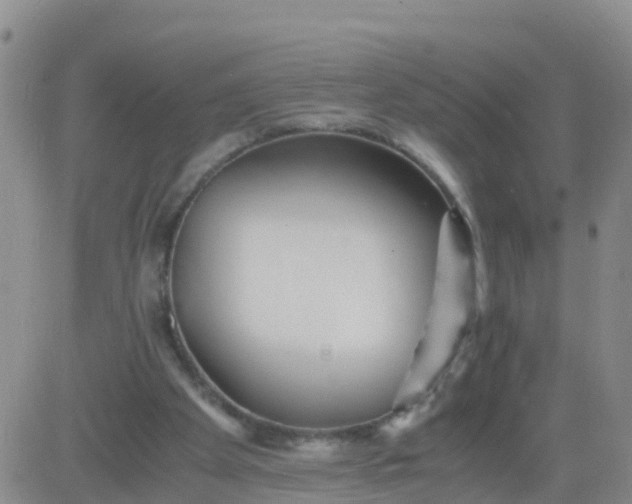 X0000084010105200703022041