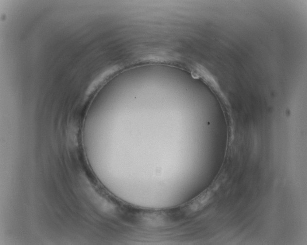 X0000084010106200703022041