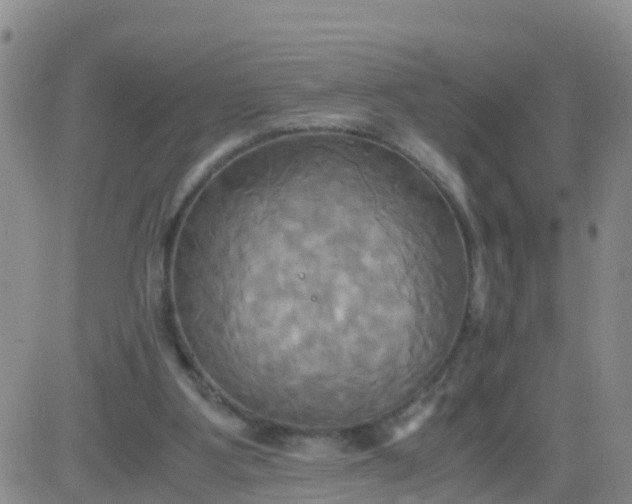 X0000084010107200703022041