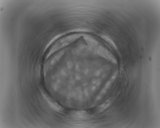 X0000084010108200703022041