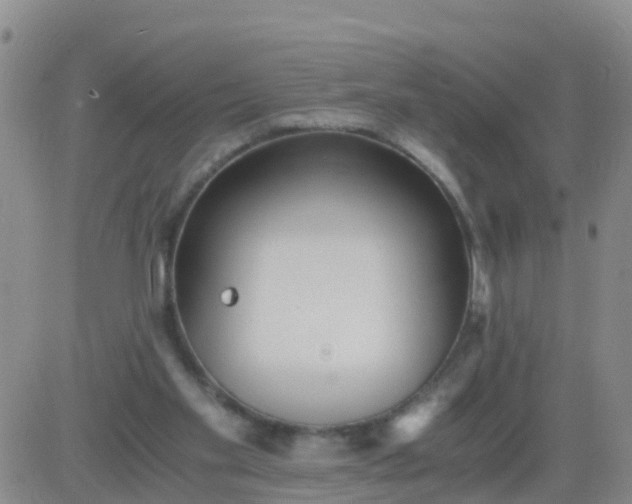 X0000084010109200703022041