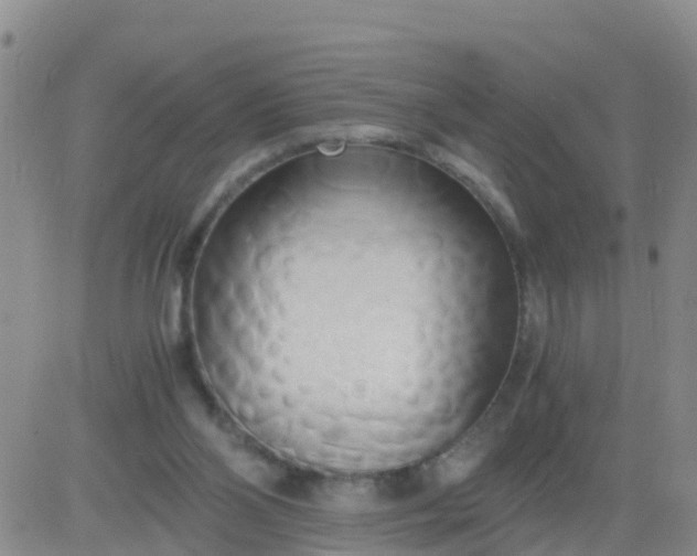 X0000084010110200703022041