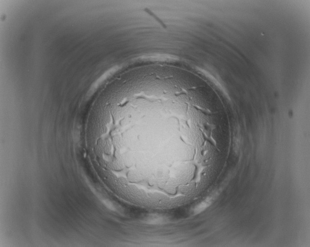 X0000084010111200703022041