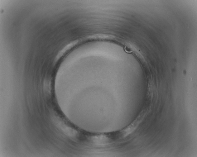 X0000084010112200703022041