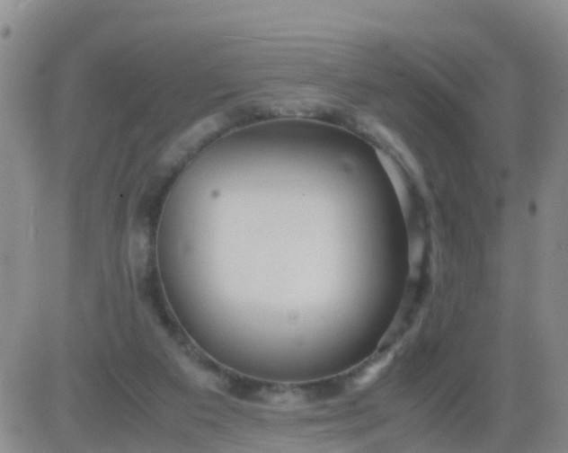 X0000084010113200703022041