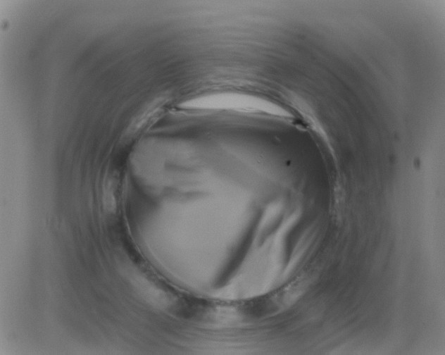 X0000084010114200703022041