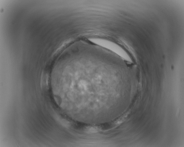 X0000084010115200703022041