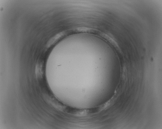 X0000084010116200703022041