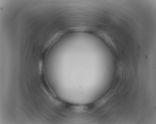 X0000084010118200703022041