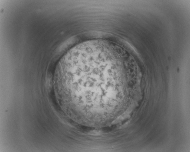 X0000084010119200703022041