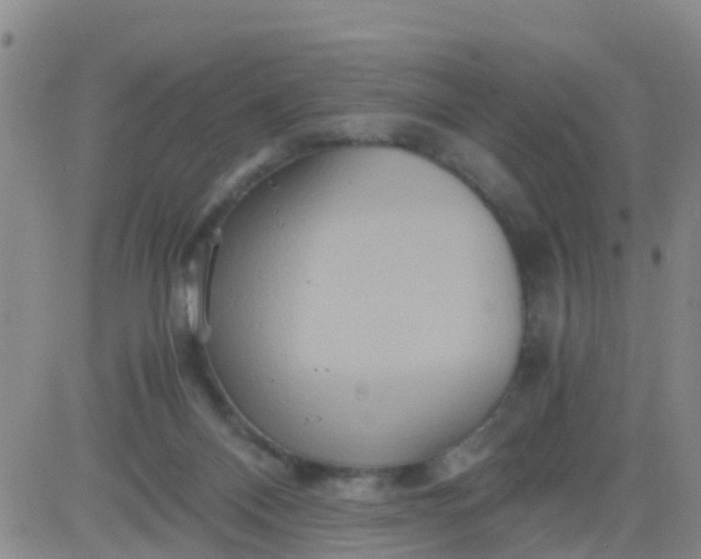 X0000084010120200703022041