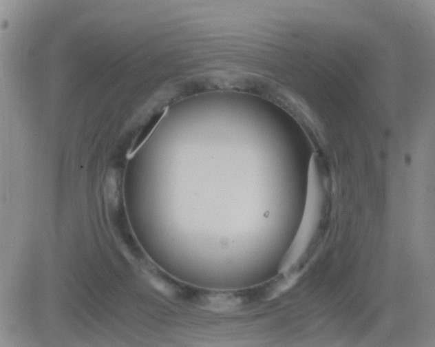 X0000084010121200703022041