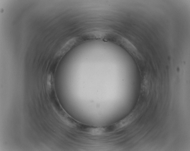 X0000084010122200703022041