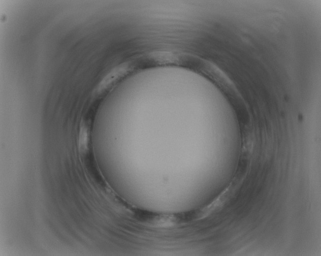 X0000084010124200703022041