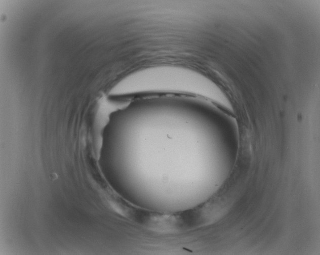 X0000084010125200703022041