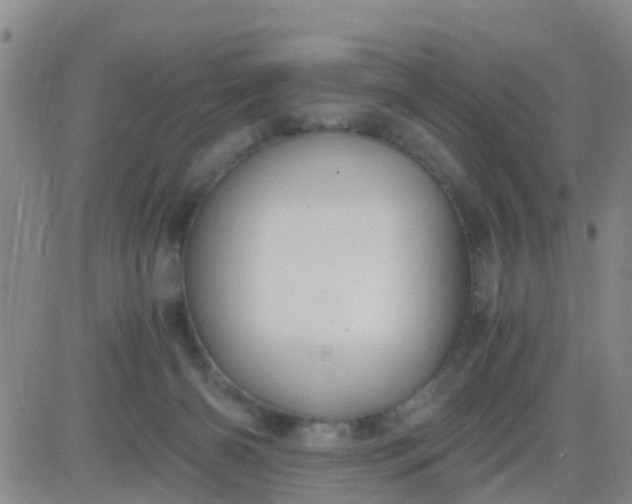 X0000084010126200703022041