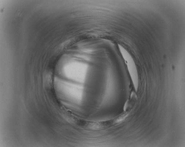 X0000084010127200703022041