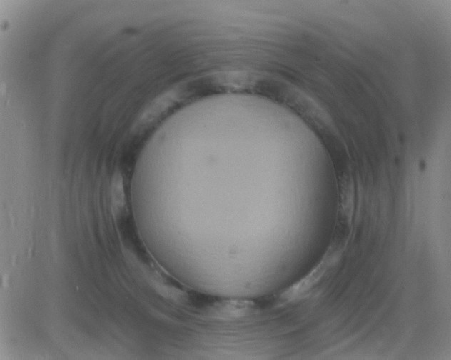 X0000084010128200703022041