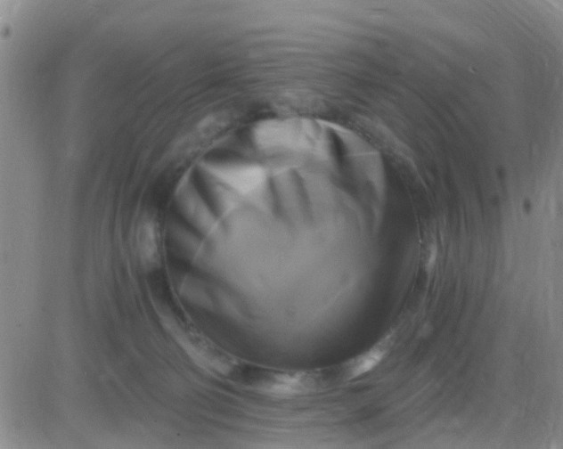 X0000084010130200703022041