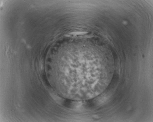 X0000084010131200703022041