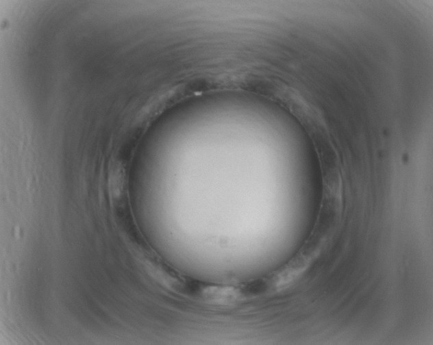 X0000084010133200703022041