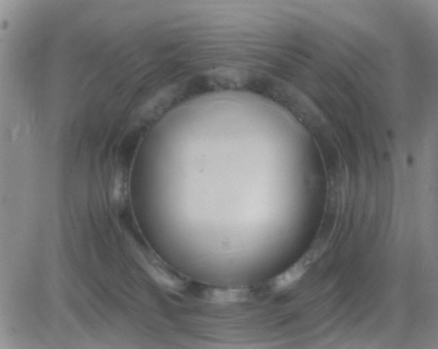 X0000084010134200703022041