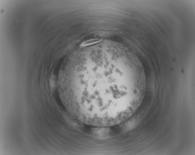 X0000084010135200703022041