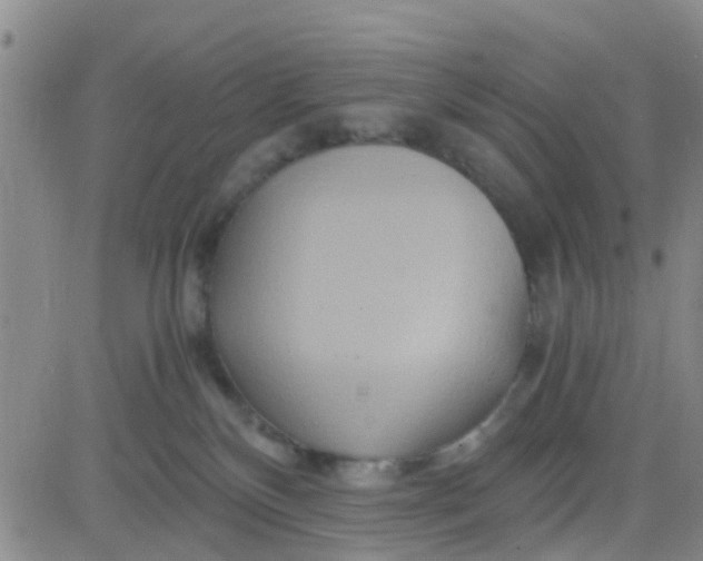 X0000084010136200703022041