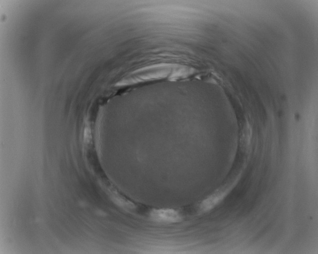 X0000084010137200703022041