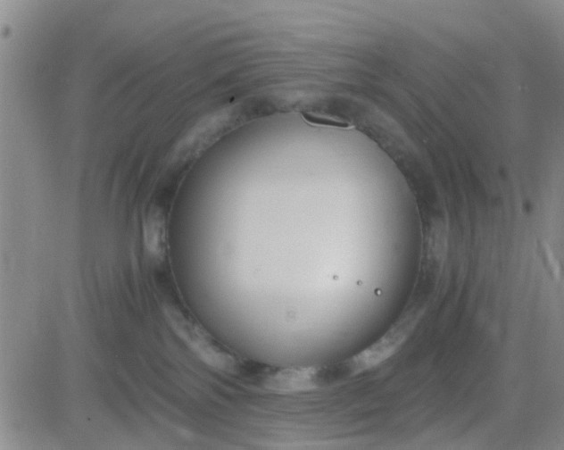 X0000084010138200703022041