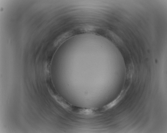 X0000084010140200703022041