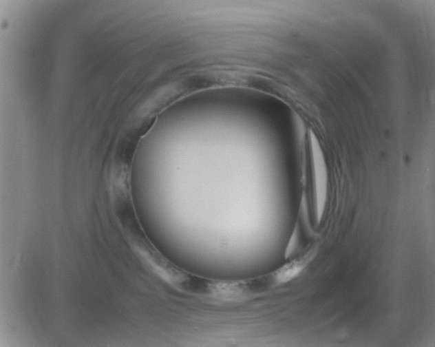 X0000084010141200703022041