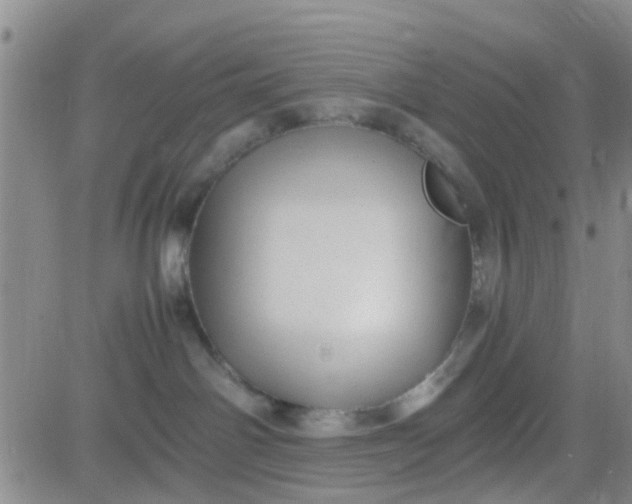 X0000084010142200703022041