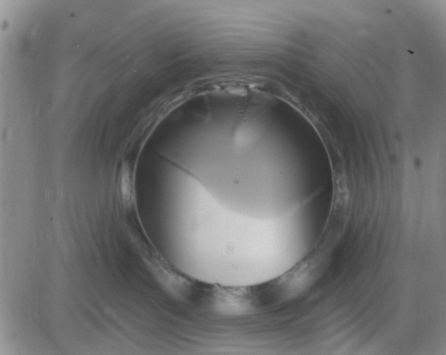 X0000084010143200703022041