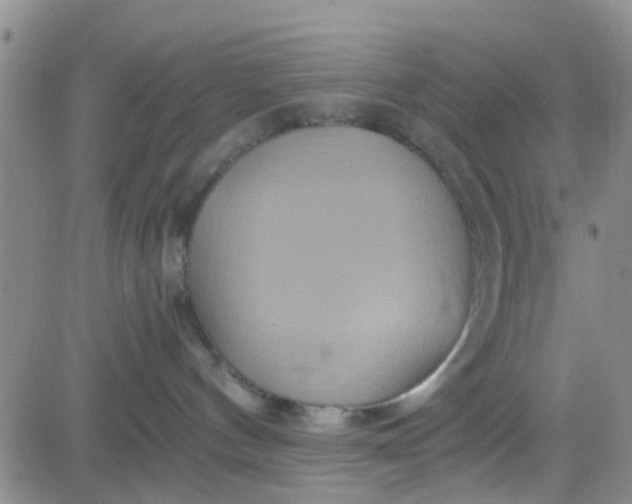 X0000084010144200703022041