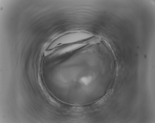 X0000084010145200703022040