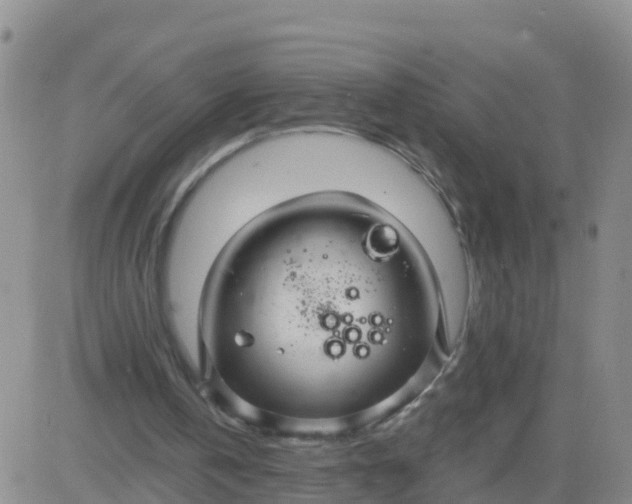 X0000084010146200703022040