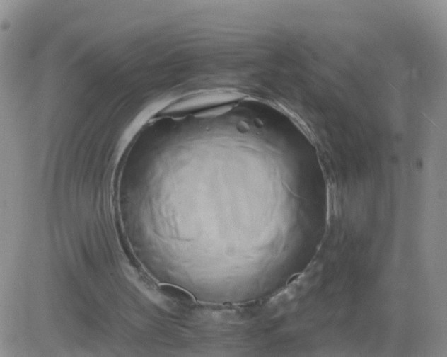 X0000084010147200703022040