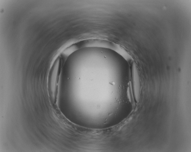 X0000084010148200703022040