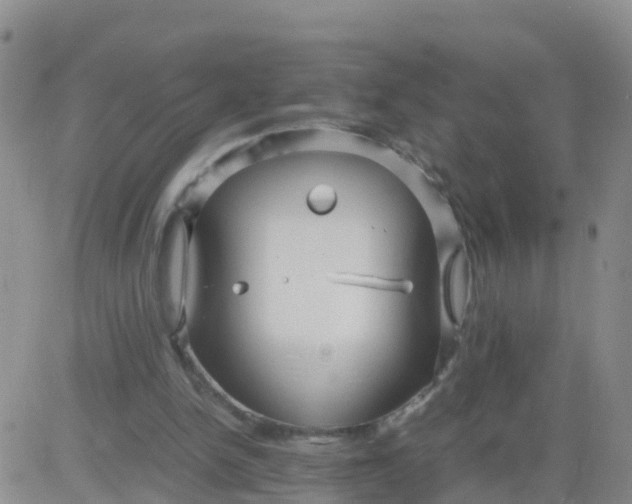 X0000084010150200703022040