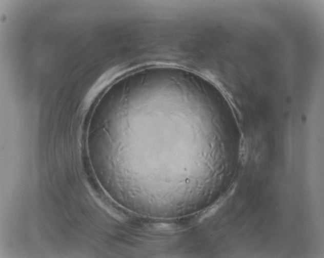 X0000084010151200703022040