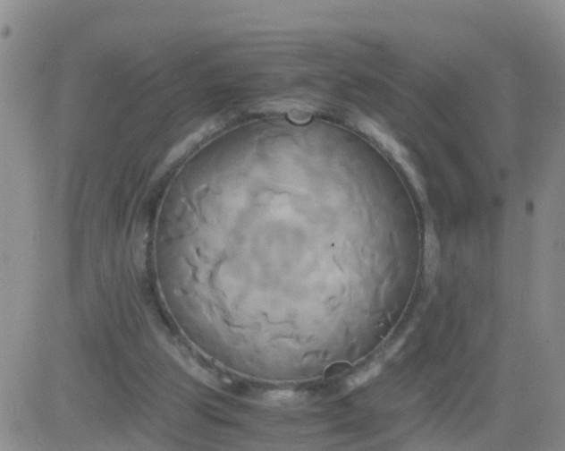 X0000084010153200703022040