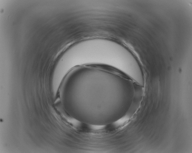 X0000084010154200703022040