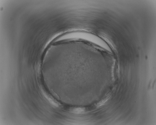 X0000084010156200703022040