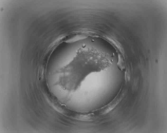 X0000084010157200703022040