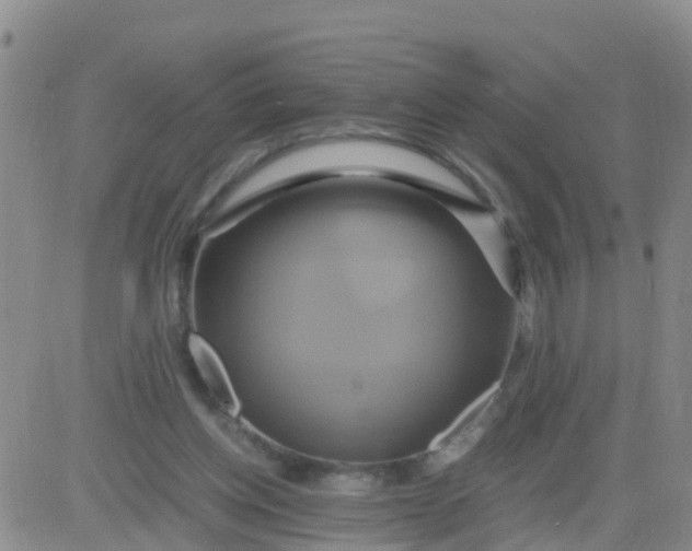 X0000084010158200703022040