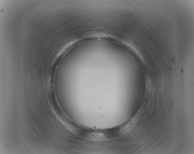 X0000084010159200703022040