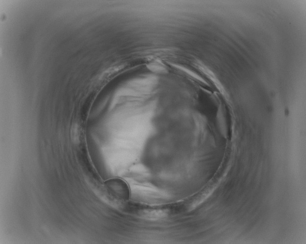 X0000084010161200703022040