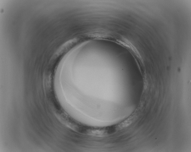 X0000084010163200703022040