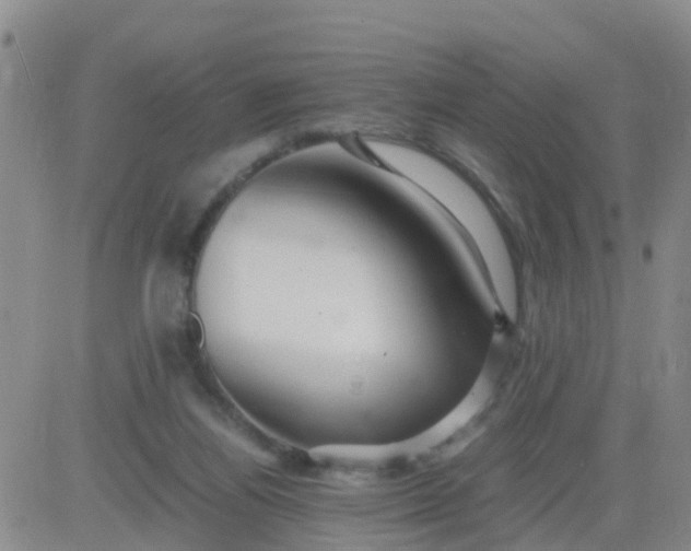 X0000084010164200703022040